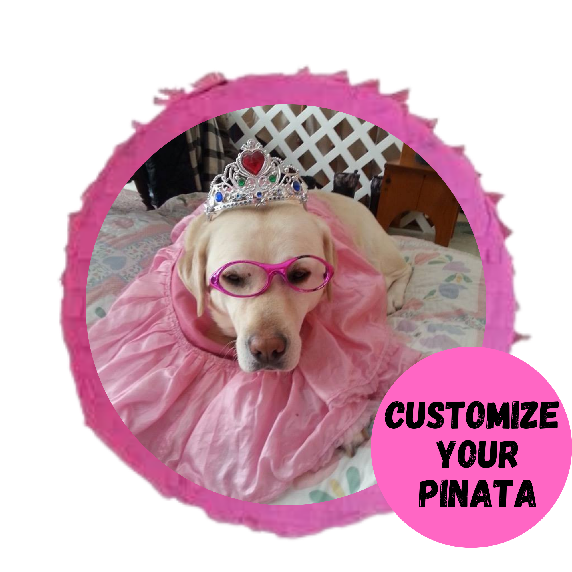 Custom Pinatas - Send Us Your Photo - POPPartyballoons